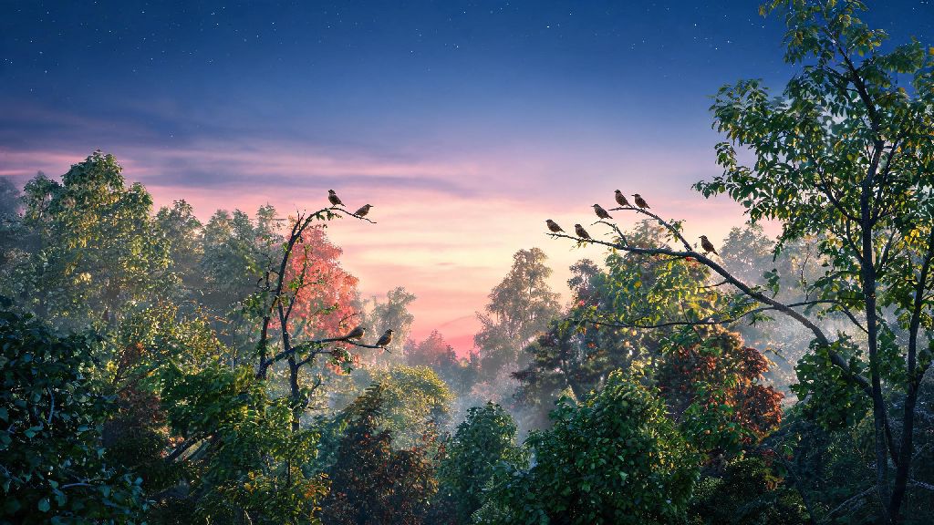A Group of Nightingales Is Called What? Full Collective Noun Guide