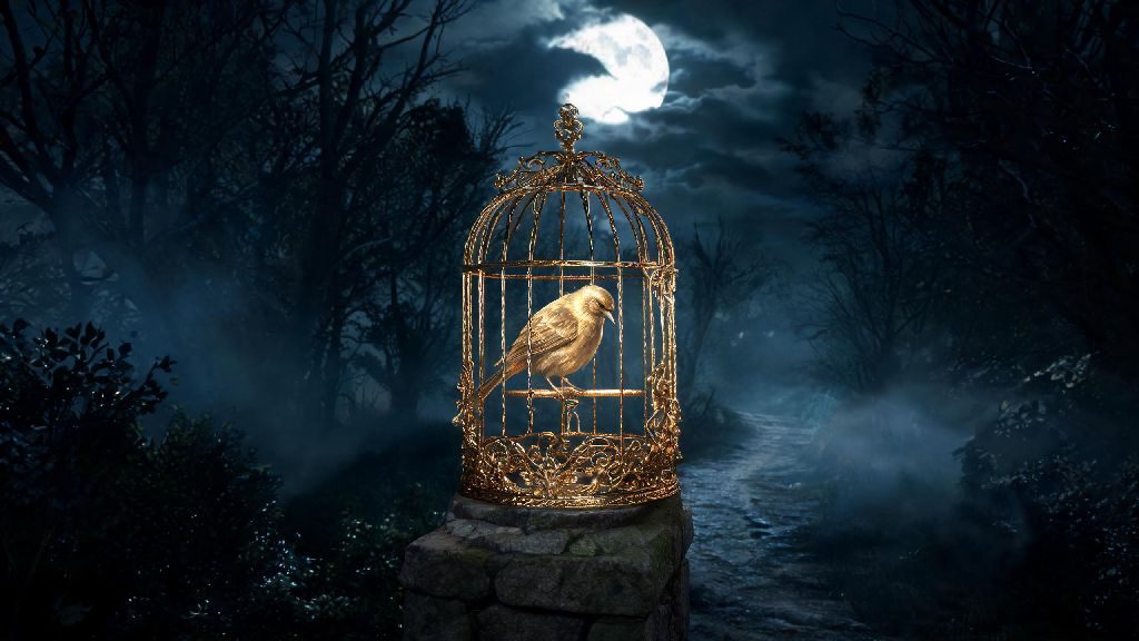 Full Guide: Symbolism, Lore and Meaning of a Nightingale in a Golden Cage